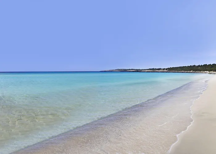 Iberostar Waves - Adults Only 4* 卡拉米洛